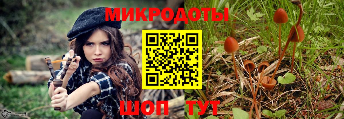 Псилоцибиновые грибы мицелий  Вход с VPN  наркота  Шебекино 