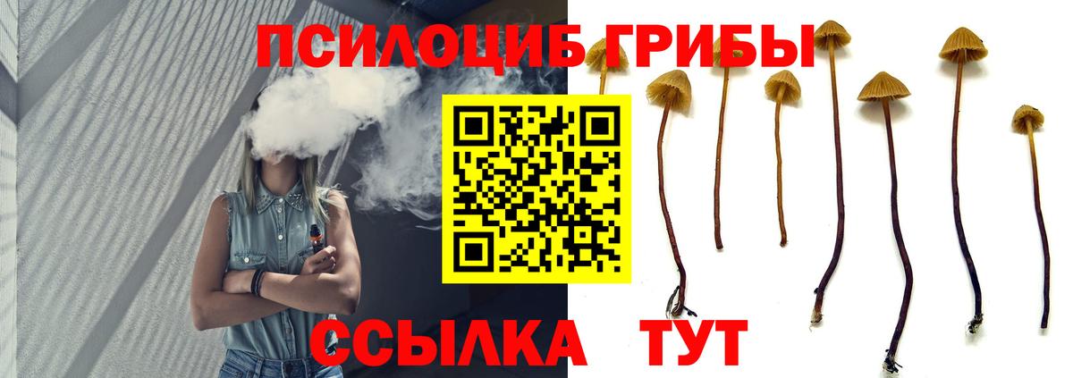 Галлюциногенные грибы GOLDEN TEACHER Шебекино